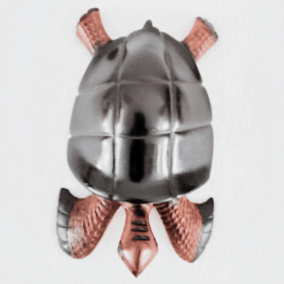 « Tortue » 26 cm - Bois