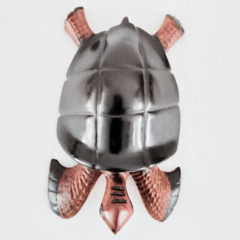 « Tortue » 26 cm - Bois