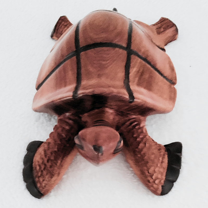 48 « Tortue Bicolore » 28 cm – Bois Marbré Noir