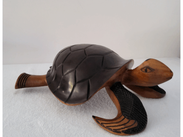 493 « Tortue » 53 × 35 cm (6 kg) - Bois Marron