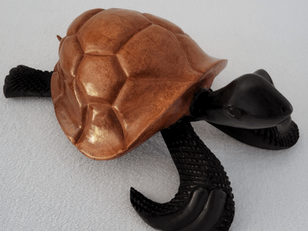 499 « Tortue » 53 × 35 cm (6 kg) - Bois Marron Clair
