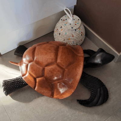 500 « Tortue » 53 × 35 cm (6 kg) - Bois Marron Clair