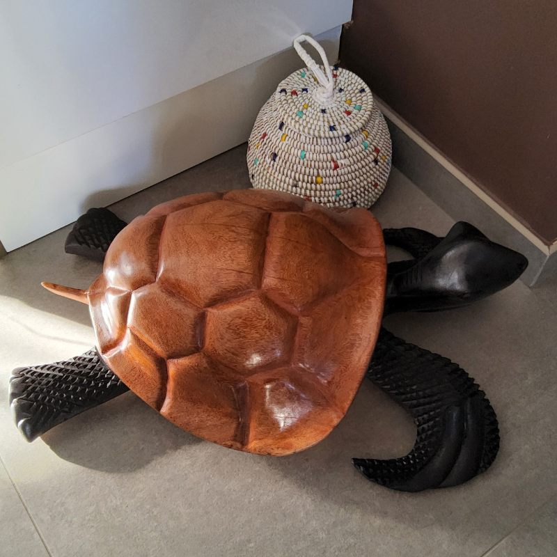 500 « Tortue » 53 × 35 cm (6 kg) - Bois Marron Clair