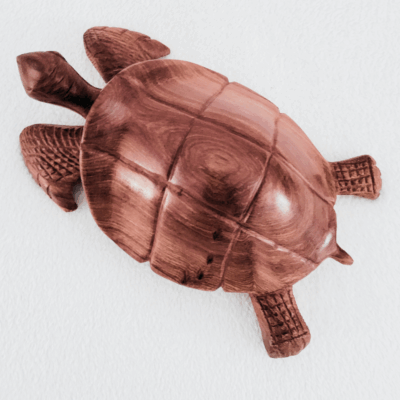 « Tortue » 28 cm – Bois Marbré Brun