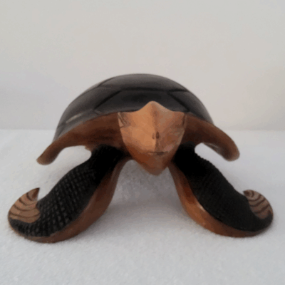« Tortue » 53 × 35 cm (6 kg) - Bois Marron