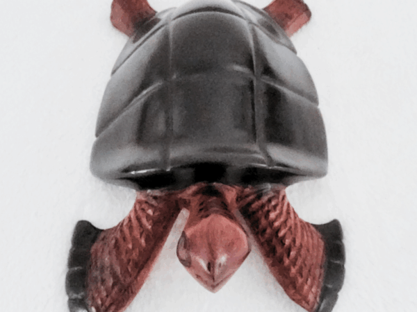 Tortue 26 « Tortue » 26 cm - Bois