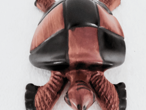 Tortue 26 bis « Tortue Damier » 26 cm – Bois Brun Noir