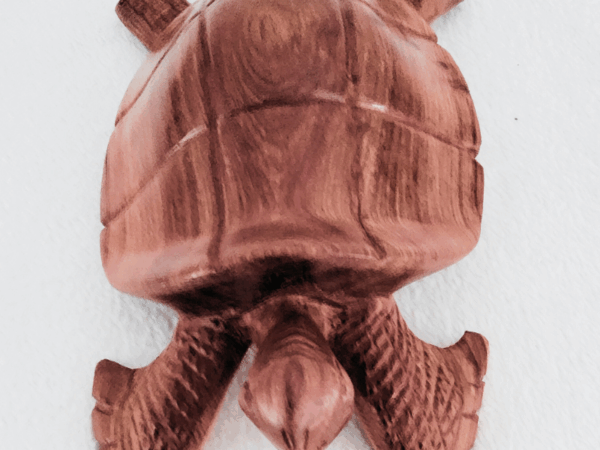 Tortue 28 bis « Tortue » 28 cm – Bois Marbré Brun